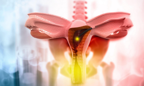 Female Fertility Services