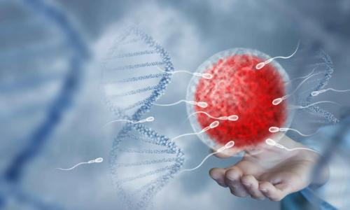 Male Fertility Services