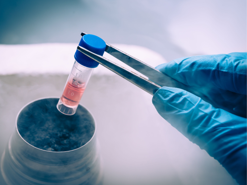 Frozen Embryo Transfer Process in PCMC, Pune by Dr. Tejas Gundewar at Jeevanam Clinic